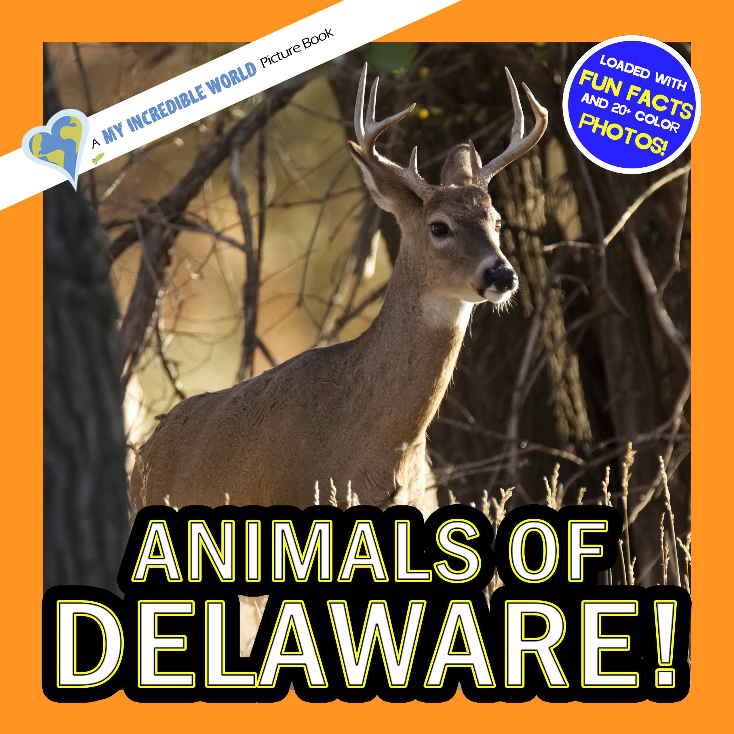 Animals of Delaware! A My Incredible World Picture Book for Children